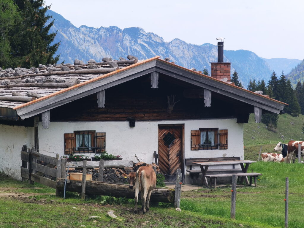 Die urigen Almhütten auf der Hemmersuppenalm stehen sogar unter Denkmalschutz