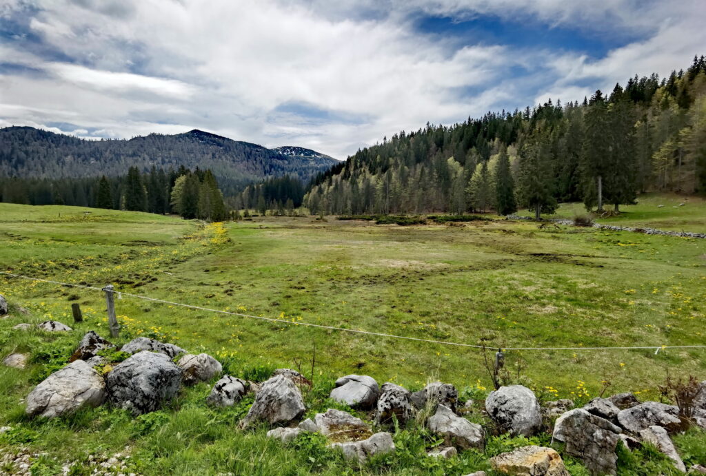 Hemmersuppenalm wandern