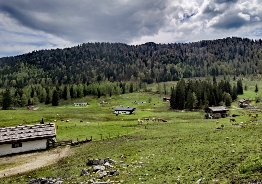 Die Obere Hemmersuppenalm ist als Ziel in den Chiemgauer Alpen sehr beliebt