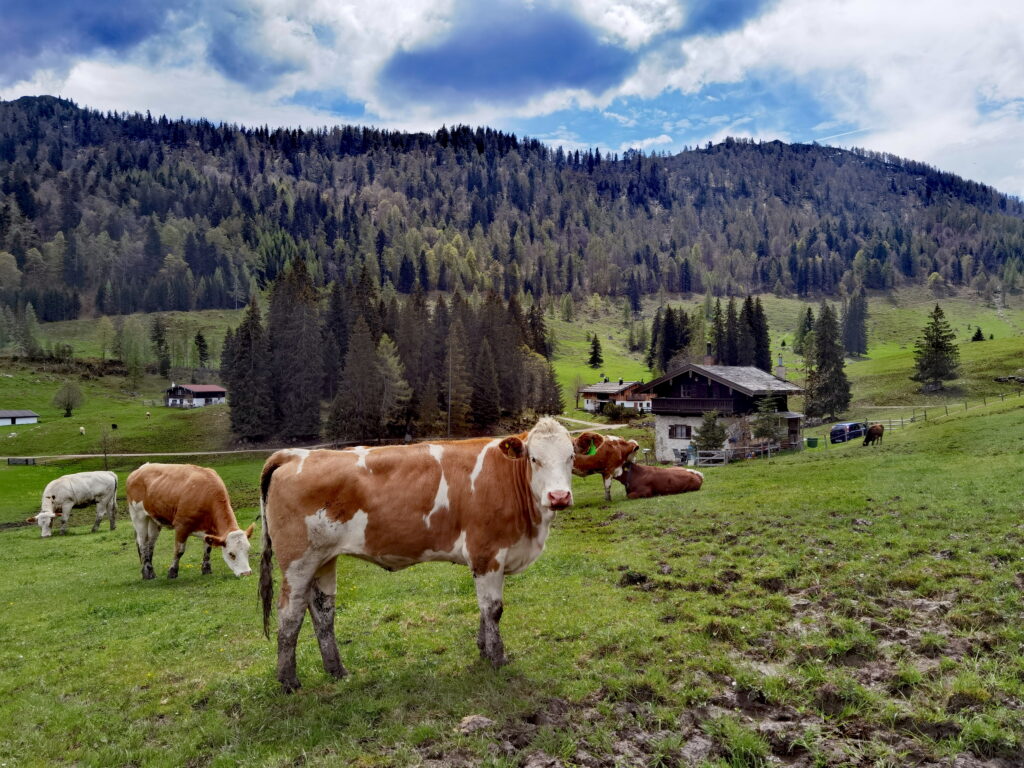 Entdecke die Reit im Winkl Sehenswürdigkeiten im Ort und in der Natur rundherum