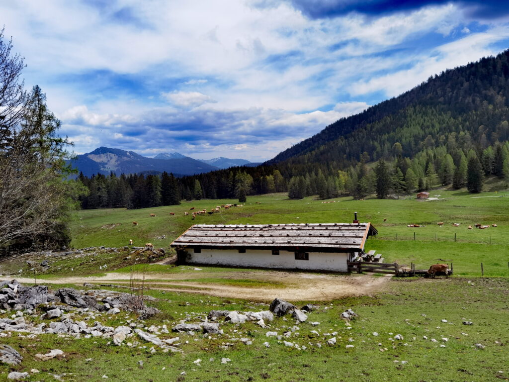 Wunderbar in Reit im Winkl wandern - zu Almen, Wasserfällen und Gipfeln.