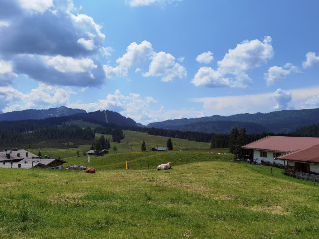 Blick über die Wiesen der Winklmoosalm