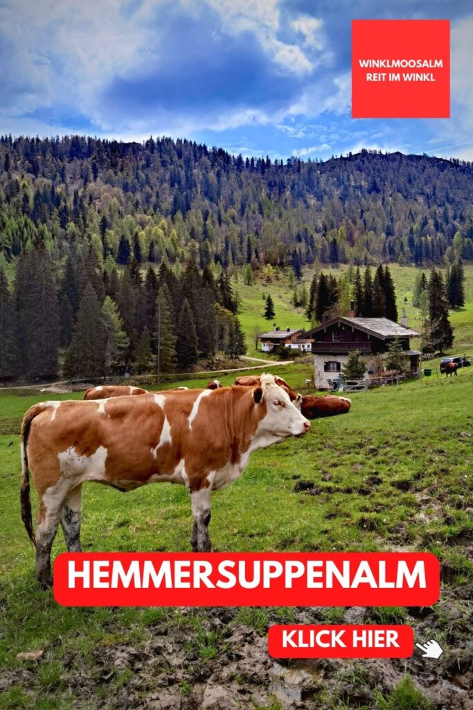 Hemmersuppenalm