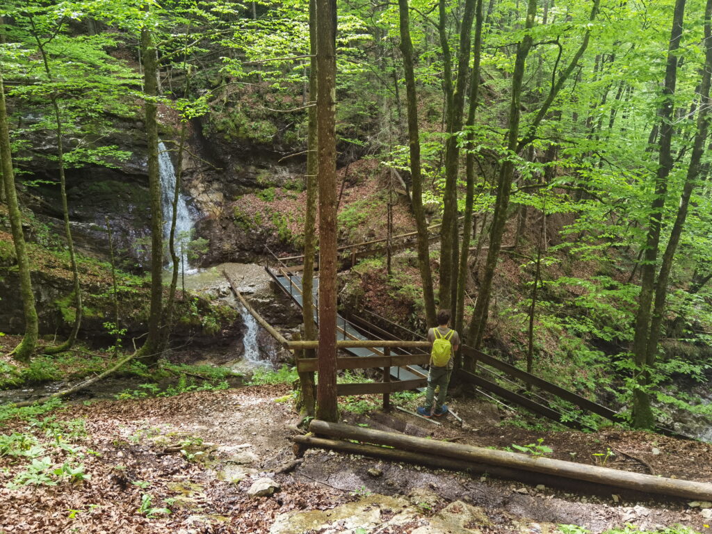 Die kurze Klausenbachklamm Wanderung