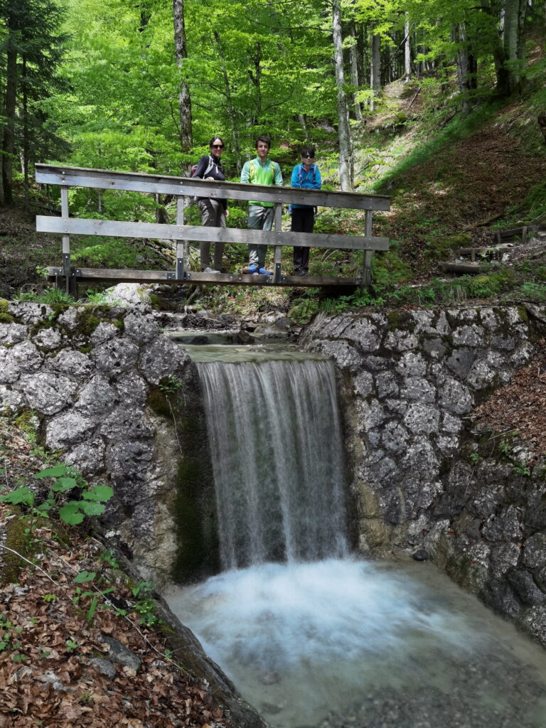 Hier findest du gute Ideen für deine Reit im Winkl Wanderung