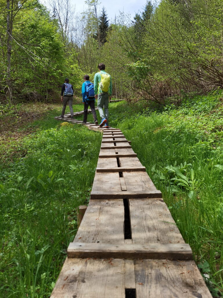 Die Wanderung führt aus dem Ort Reit im Winkl hinauf zum Wetterkreuz