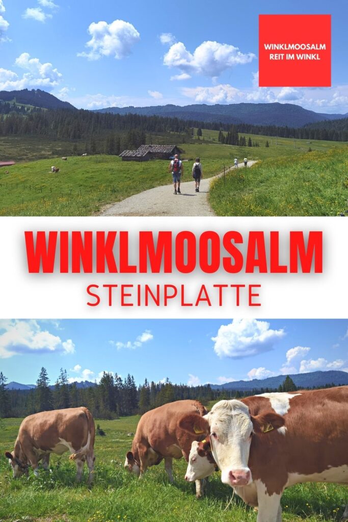 Winklmoosalm Steinplatte