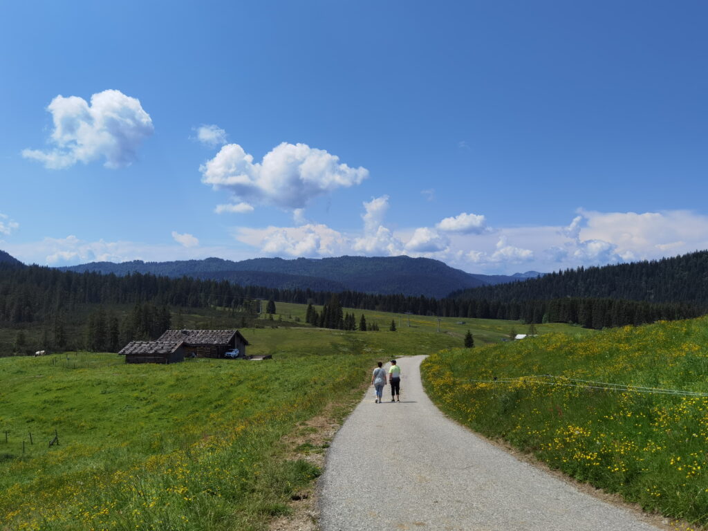 Der schönste Teil der Winklmoosalm Wanderung - oben am Hochplateau über die Almwiesen